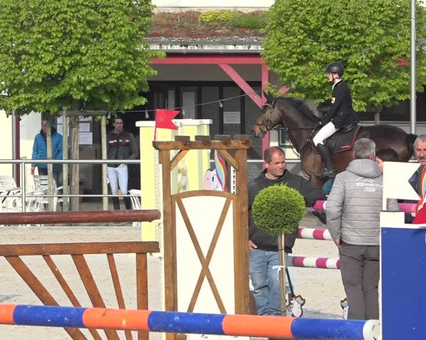 Reitturnier Achern 2019