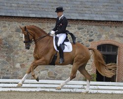 dressage horse Zepter (Oldenburg, 2008, from Zack)