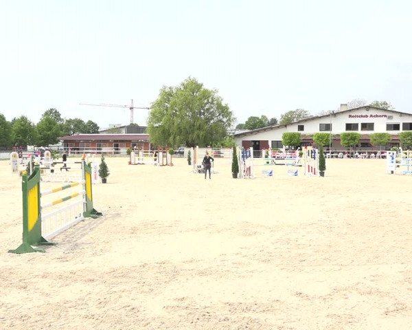 Reitturnier Achern 2019