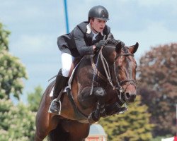 jumper Chino d'Enfer 3 (Luxembourg horse, 2007, from Conterno Grande)