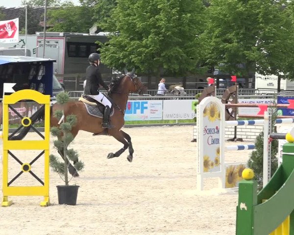 Reitturnier Achern 2019