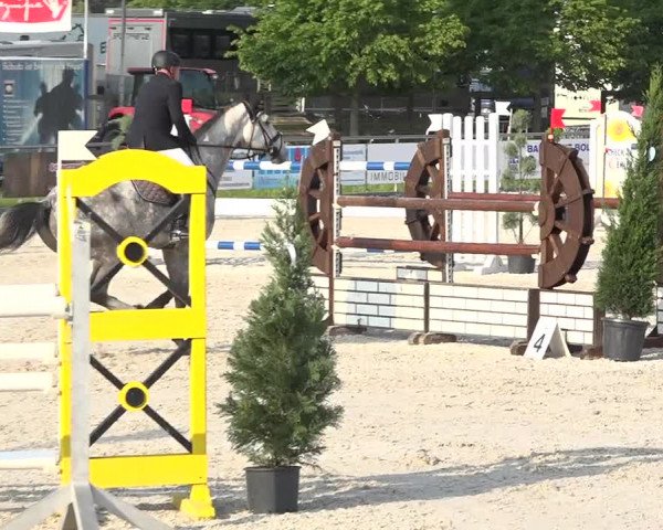 Reitturnier Achern 2019