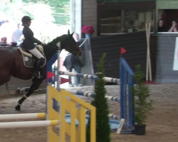 Reitturnier Heilbronn 2021