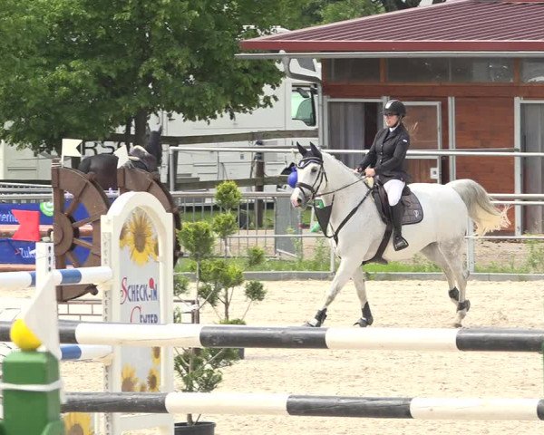 Reitturnier Achern 2019