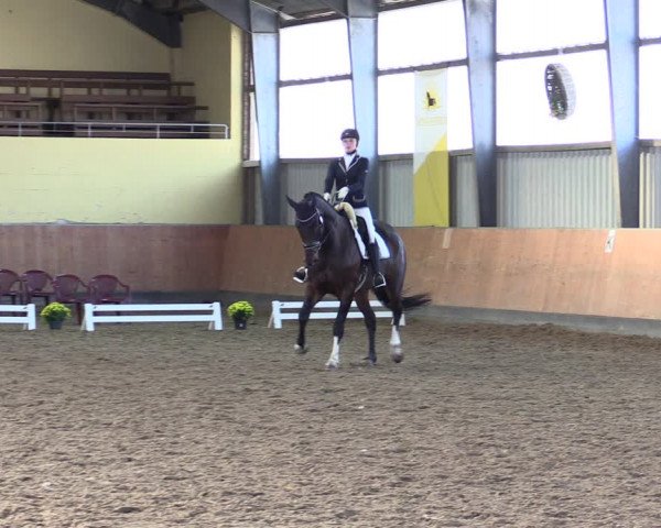 Reitturnier Frechen-Grefrath - Sonnenhof 2021