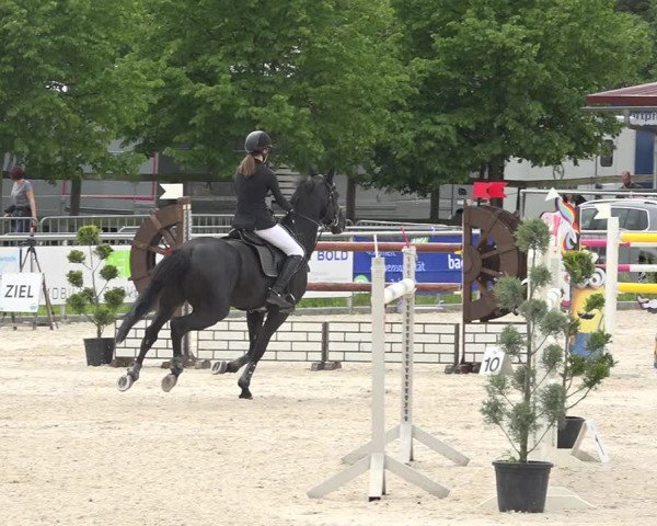 Reitturnier Achern 2019