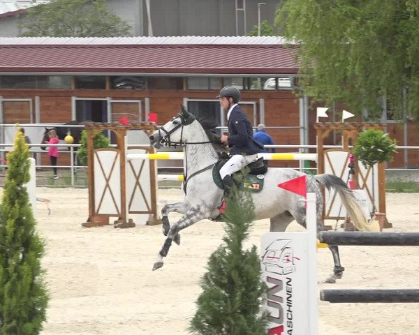 Reitturnier Achern 2019
