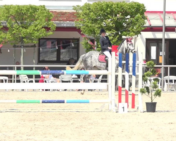 Reitturnier Achern 2019