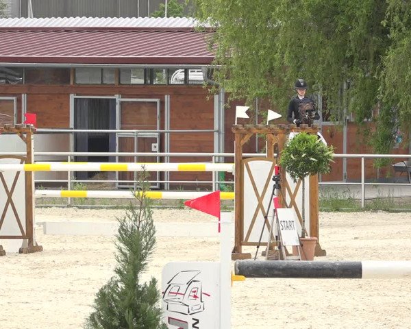 Reitturnier Achern 2019