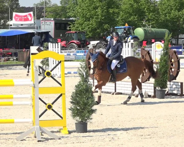 Reitturnier Achern 2019
