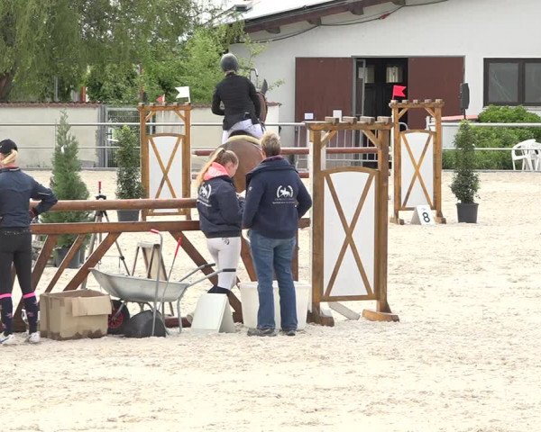 Reitturnier Achern 2019