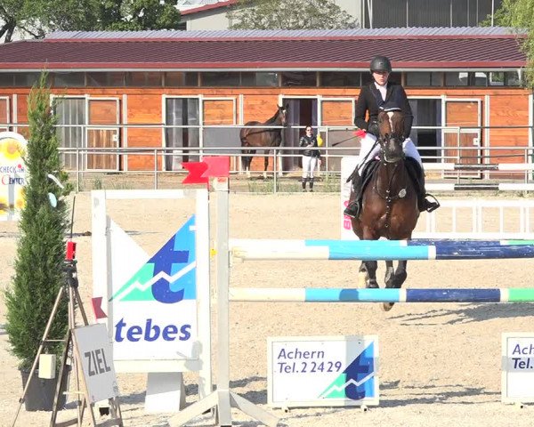 Reitturnier Achern 2019