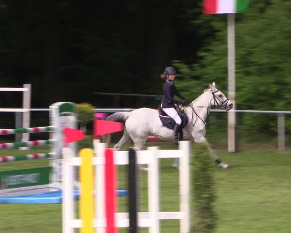 Reitturnier Stukenbrock 2019