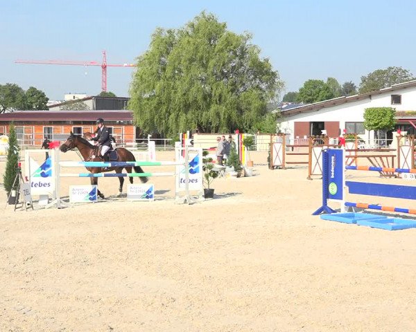 Reitturnier Achern 2019
