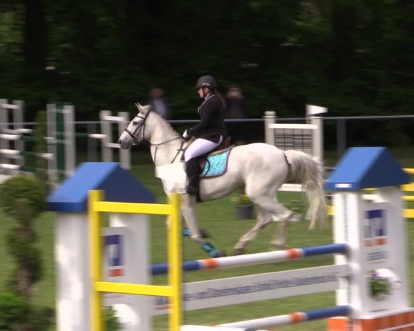 Reitturnier Stukenbrock 2019