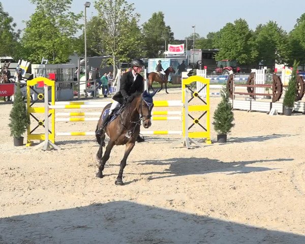 Reitturnier Achern 2019