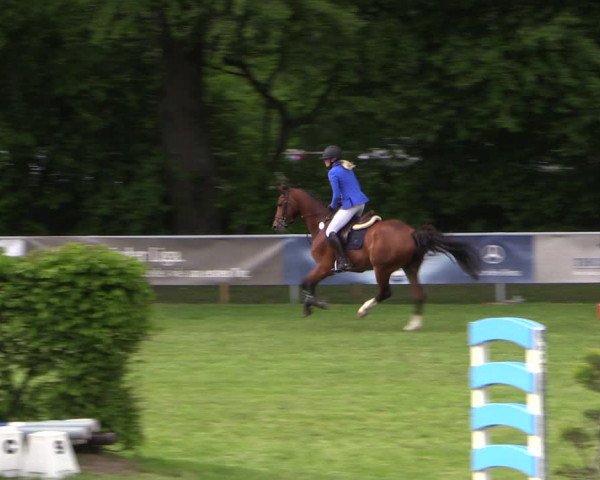 Reitturnier Stukenbrock 2019