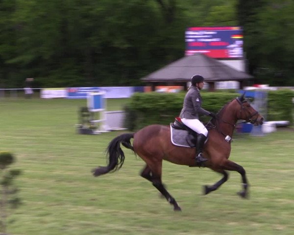 Reitturnier Stukenbrock 2019