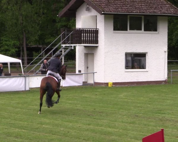 Reitturnier Stukenbrock 2019