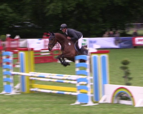 Reitturnier Stukenbrock 2019