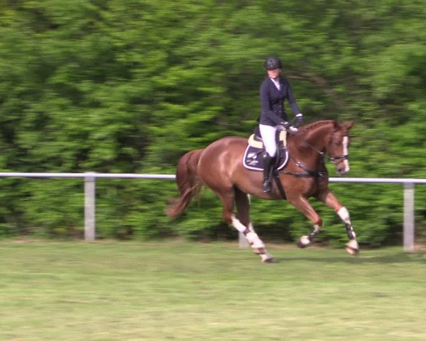Reitturnier Stukenbrock 2019