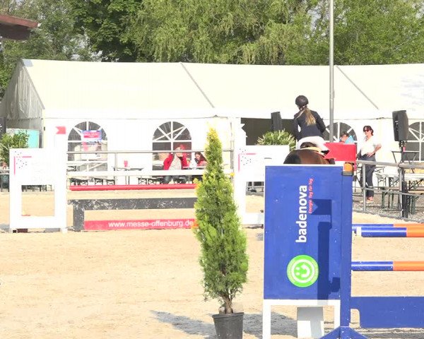 Reitturnier Achern 2019