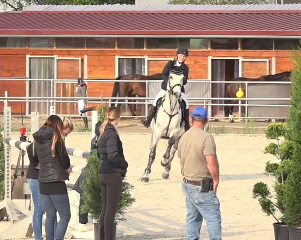 Reitturnier Achern 2019