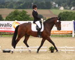 dressage horse Fuchur 76 (Oldenburg, 2007, from Fidertanz)
