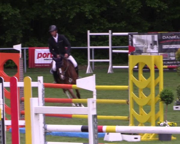 Reitturnier Stukenbrock 2019