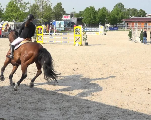Reitturnier Achern 2019