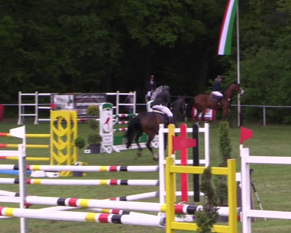 Reitturnier Stukenbrock 2019