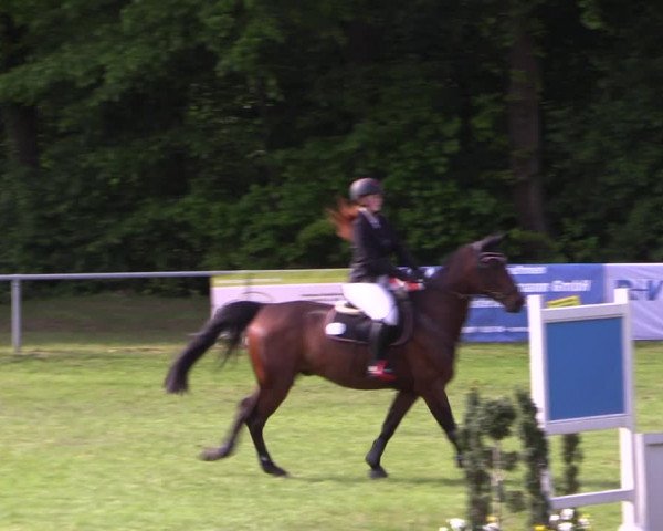 Reitturnier Stukenbrock 2019