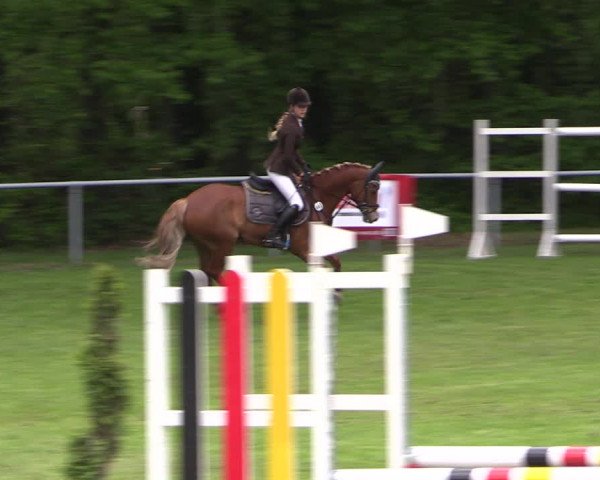 Reitturnier Stukenbrock 2019