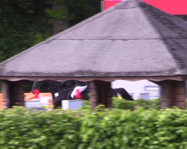 Reitturnier Stukenbrock 2019