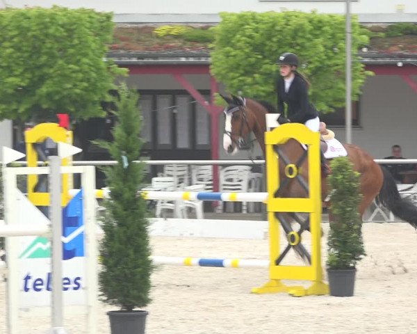 Reitturnier Achern 2019
