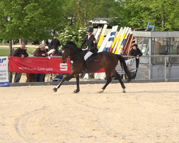Reitturnier Achern 2019