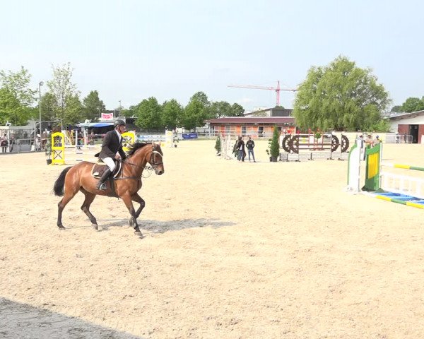 Reitturnier Achern 2019