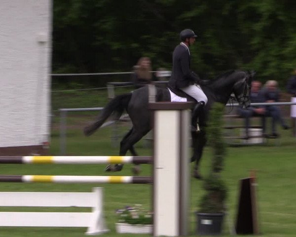 Reitturnier Stukenbrock 2019