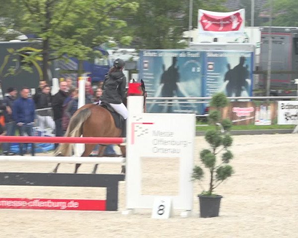 Reitturnier Achern 2019