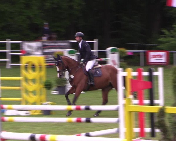 Reitturnier Stukenbrock 2019