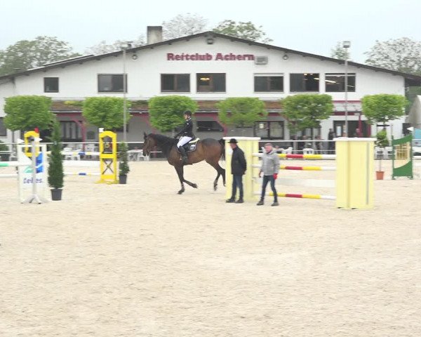 Reitturnier Achern 2019