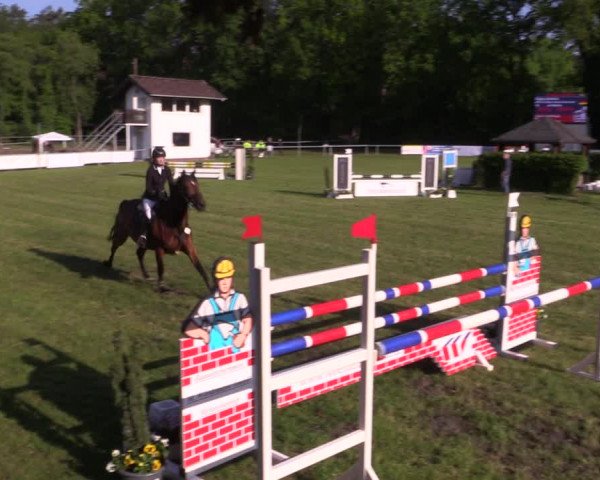 Reitturnier Stukenbrock 2019