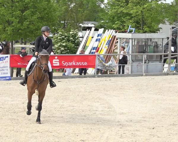 Reitturnier Achern 2019