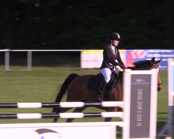 Reitturnier Stukenbrock 2019