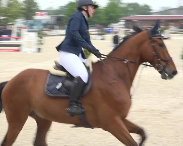 Reitturnier Achern 2019