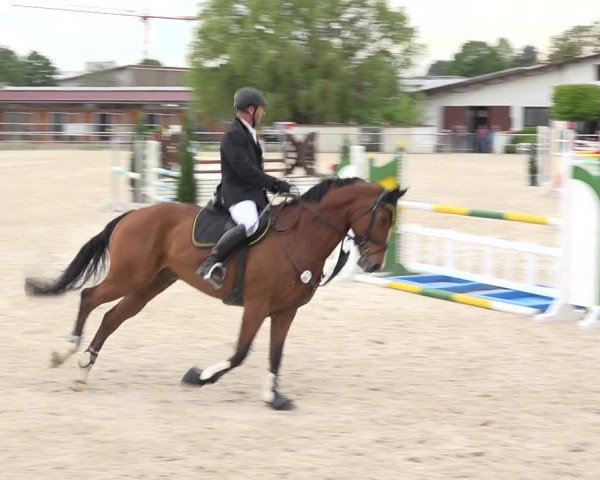 Reitturnier Achern 2019