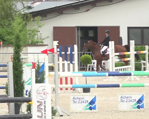 Reitturnier Achern 2019