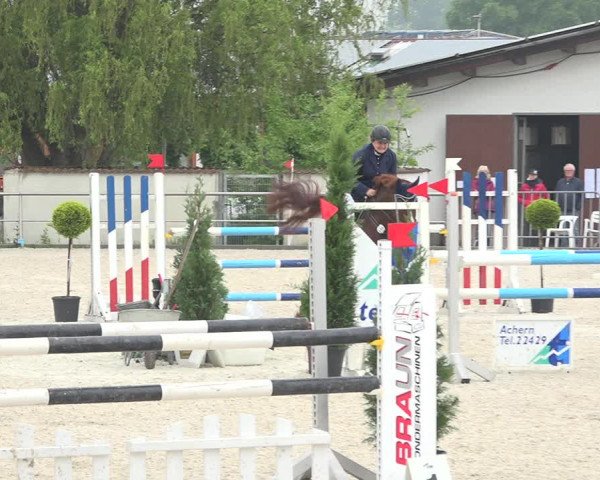 Reitturnier Achern 2019