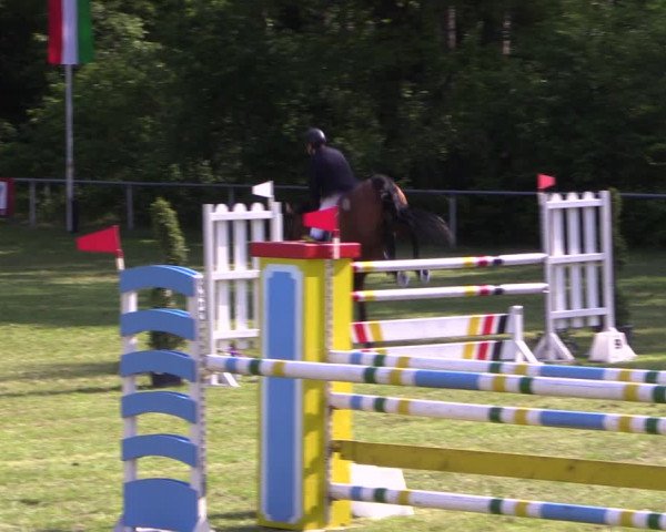 Reitturnier Stukenbrock 2019