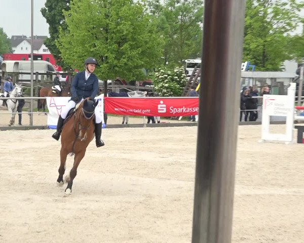 Reitturnier Achern 2019